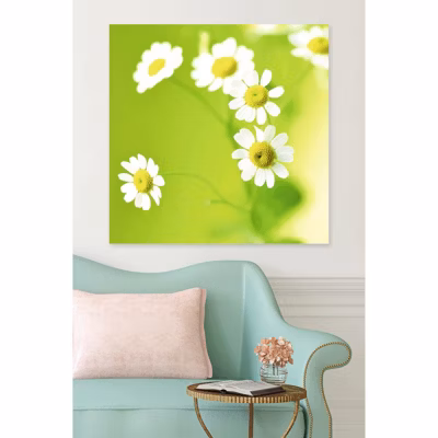 Tableau toile XXL en kit Paquerettes Vertes 90 x 90 cm – Toile textile sans PVC
