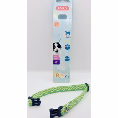 Collier PUPPY PIXIE 13 mm 25 à 39 cm couleur vert pour chiots
