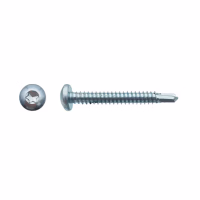 250 Vis Autoperceuses Tête Cylindrique Torx 5.5 x 38 mm – Zingué blanc – D-Work