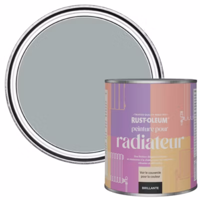 Peinture Grise pour Radiateur, Finition Brillante – RUST-OLEUM – Gris Minéral 750ml