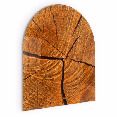 Plaque de Sol de Cheminée Wallfluent 80×70 cm Grain du bois en coupe transversale Plaque de Sécurité