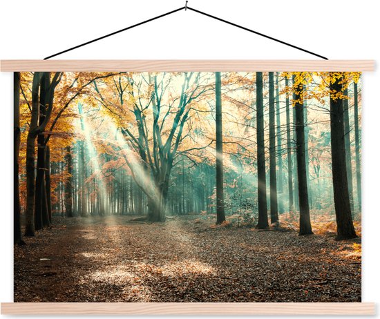 Forêt d&rsquo;automne aux Nederland affiche textielposter lattes vierges 120×80 cm – Tirage photo sur plaque scolaire (décoration murale salon / chambre)