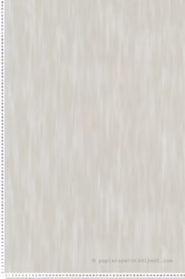 Papier peint vinyle sur intissé Uni L.10.05 x l.0.53 m.  – Réf. LTC-11251007