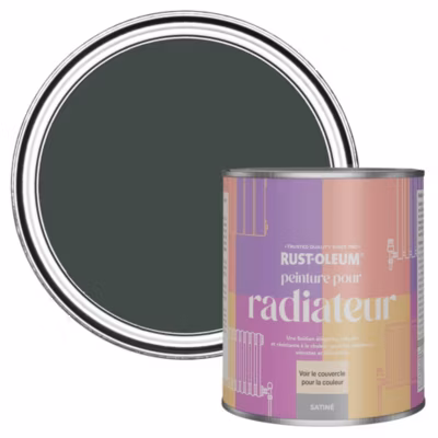 Peinture Verte pour Radiateur, Finition Satinée – RUST-OLEUM – After Dark 750ml