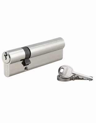 Cylindre de serrure double entrée SA UNIKEY (achetez-en plusieurs, ouvrez avec la même clé),  30x90mm, 3 clés, nickelé – THIRARD
