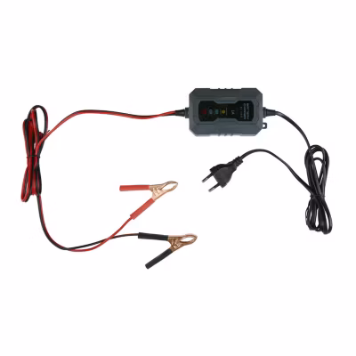 DUNLOP Chargeur d&rsquo;Entretien 6/12V 230V – Maintien Batterie Auto et Camion, Détection Automatique et Sécurisée