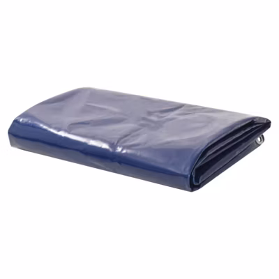 VIDAXL – Bache polyethylene – 650 g m2 – 4 x 4 m – Bleue