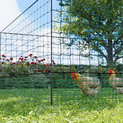 Kit filet  clôtures pour poules 12m avec 5 piquets double pointes. modulable. porte d&rsquo;accès. sardines incluses