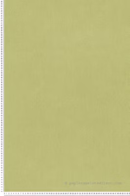 Papier peint intissé Uni L.10.05 x l.0.53 m.  – Réf. 3837-47