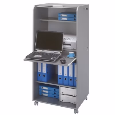 Armoire informatique Gris alu ORGA 2 tiroirs