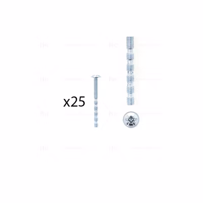 1 kit composés de 25 vis M4X45 mm zinguée