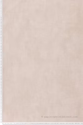 Papier peint vinyle sur intissé Uni L.10.05 x l.0.53 m.  – Réf. LTC-51182703