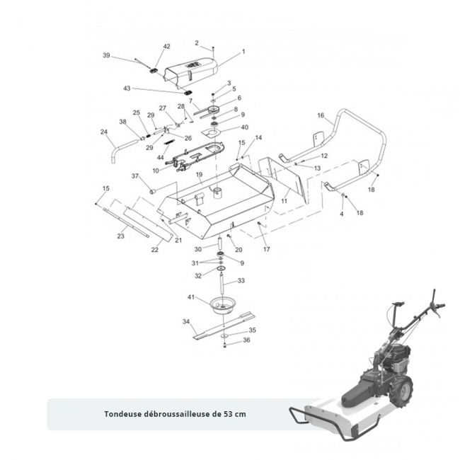 Pièces détachées pour débroussailleuse Minieffe et P55 EUROSYSTEMS