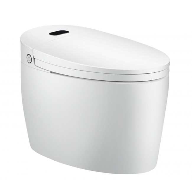 WC Monobloc Luxe DIAMOND V2 TopToilet