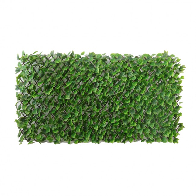 Treillis en feuille de lierre – 1 x 2 m JET7GARDEN